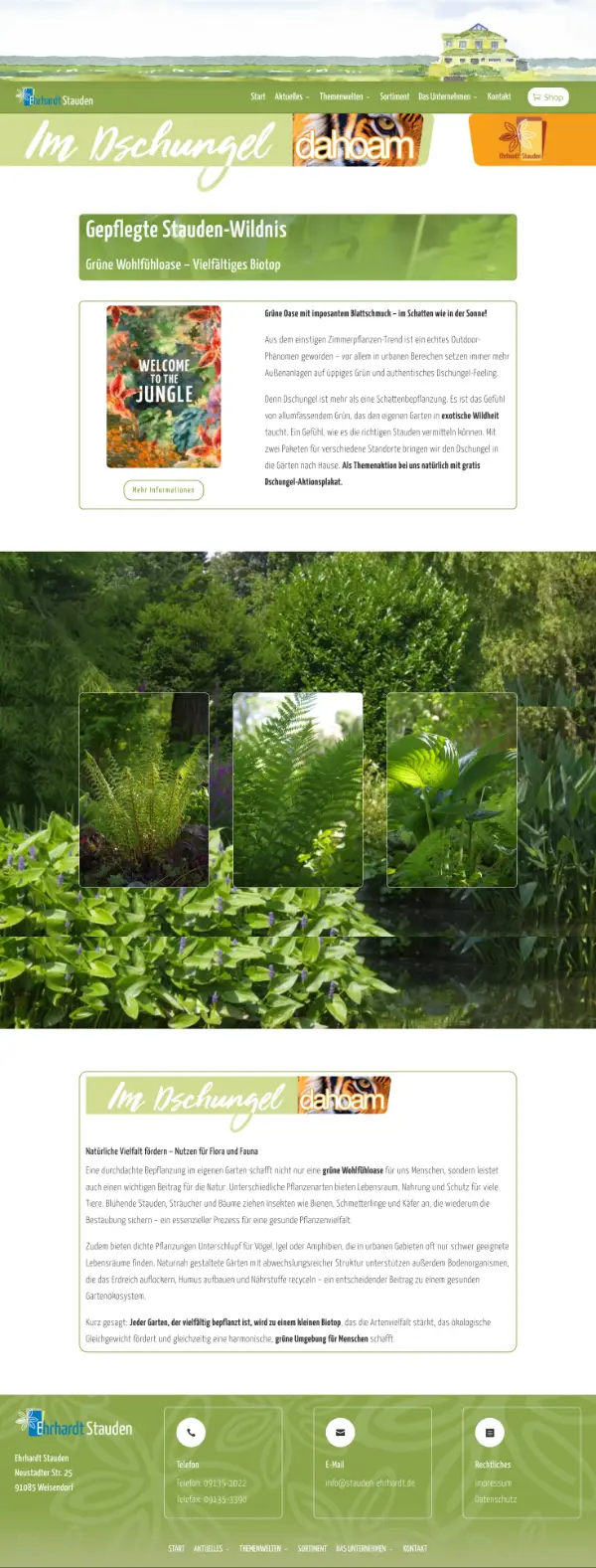 stauden-ehrhardt